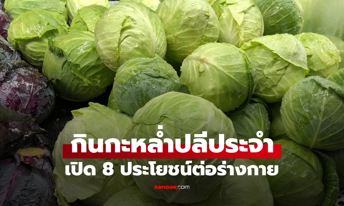 กินกะหล่ำปลีเป็นประจำ ส่งผลอะไรต่อสุขภาพ เปิด 8 ประโยชน์และข้อควรระวัง