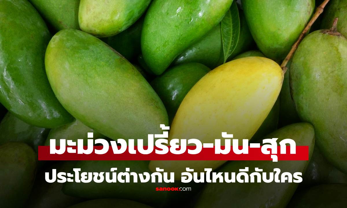 มะม่วงเปรี้ยว มะม่วงมัน มะม่วงสุก ประโยชน์ต่างกันอย่างไร แบบไหนดีต่อสุขภาพที่สุด
