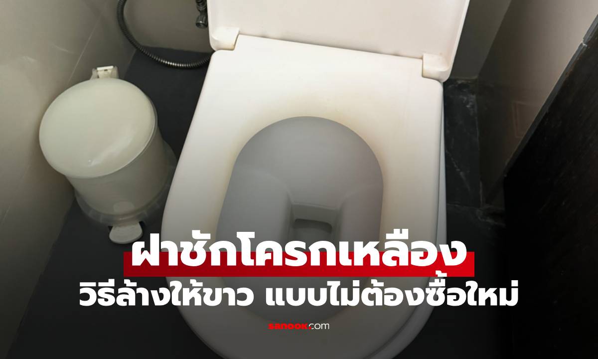 ฝาชักโครกเหลือง วิธีแก้ให้ขาวแบบไม่ต้องซื้อใหม่ ลองแล้วเวิร์ก!