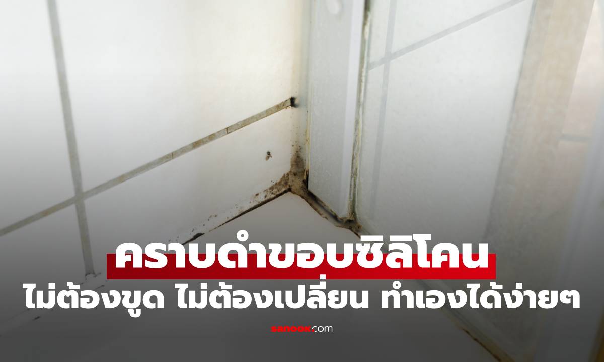 ขจัดคราบดำขอบซิลิโคน ไม่ต้องขูด ไม่ต้องเปลี่ยน ทำเองได้ง่ายๆ