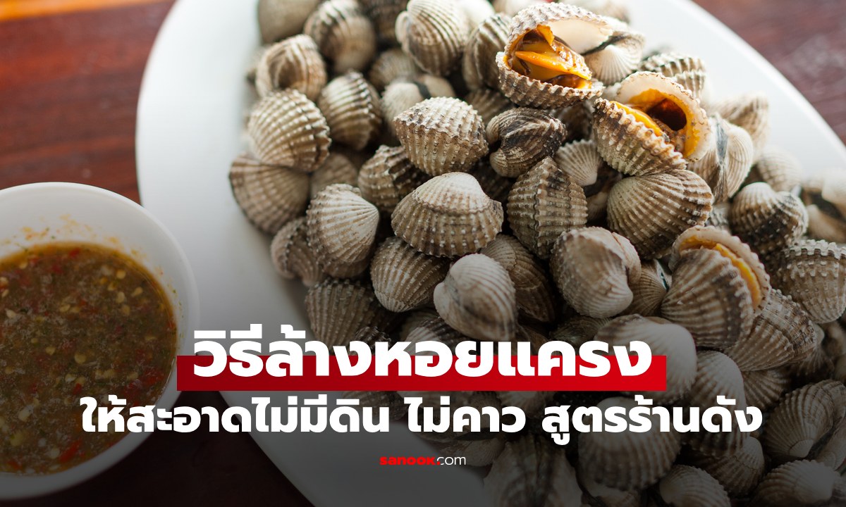 วิธีล้างหอยแครง ให้สะอาด คายดินเกลี้ยง ไร้กลิ่นคาว สูตรลวกให้หวานฉ่ำฉบับร้านดัง