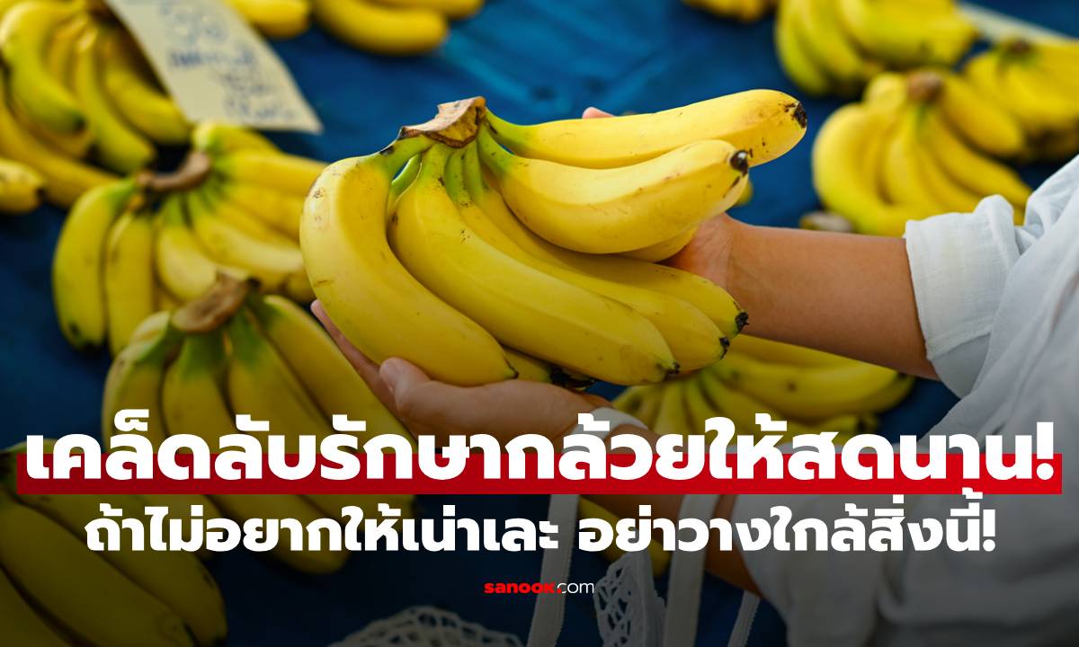 เคล็ดลับรักษากล้วยให้สดนาน! เลิกวางไว้ใกล้ "สิ่งนี้" ถ้าไม่อยากให้เน่าเละใน 3 วัน