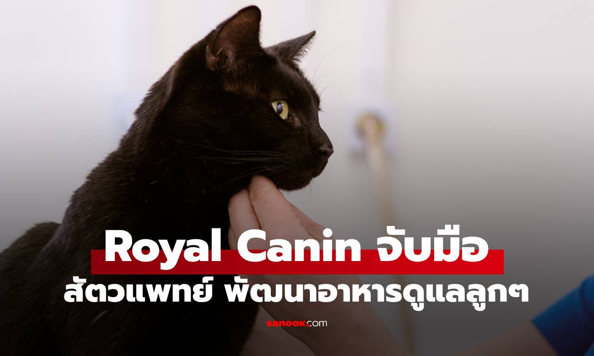 Royal Canin จับมือสัตวแพทย์เอเชีย ยกระดับให้ดูแลลูกรัก