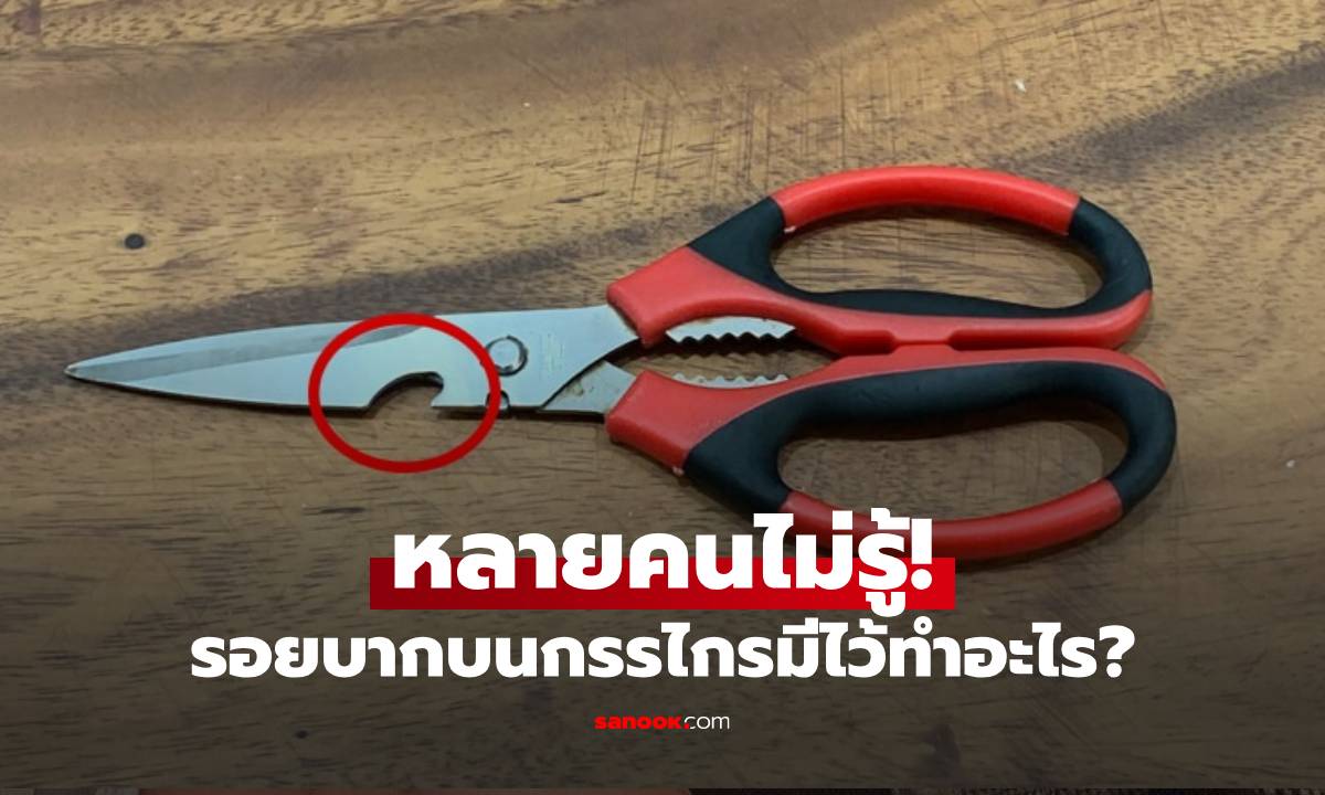รอยบากบนกรรไกรไม่ใช่แค่ดีไซน์! เผย 4 ประโยชน์ลับที่ช่วยให้งานครัวง่ายขึ้น 10 เท่า