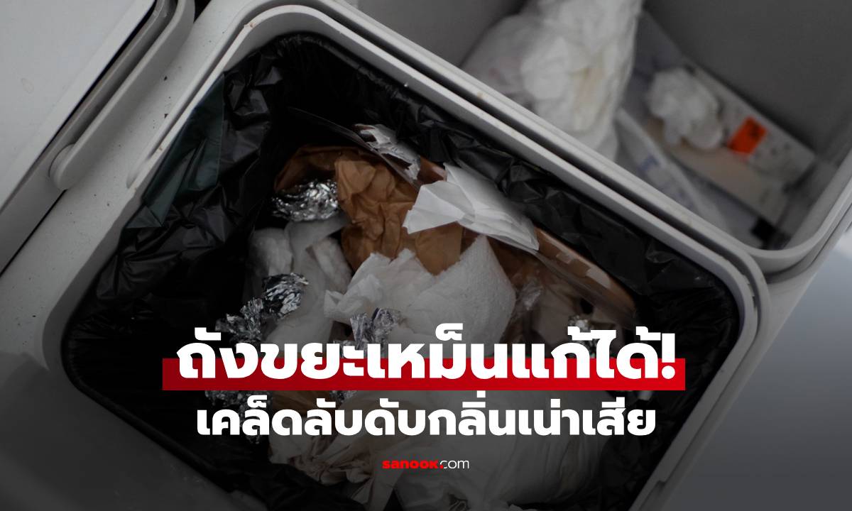 ถังขยะเหม็นแก้ได้! เคล็ดลับดับกลิ่นเน่าเสียด้วย "สำลีชุบน้ำมันหอมระเหย"