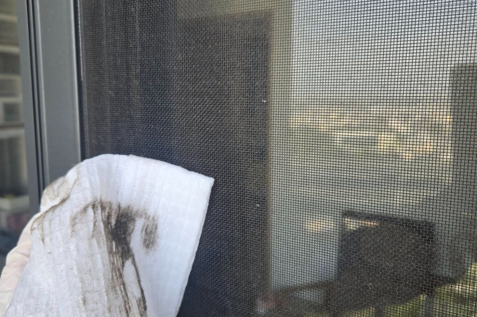 ล้างมุ้งลวดให้สะอาด