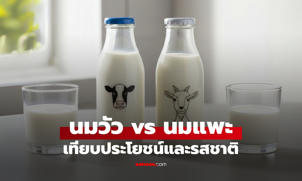นมวัว vs นมแพะ เทียบชัดๆ คุณค่าทางโภชนาการ รสชาติต่างกันอย่างไร?
