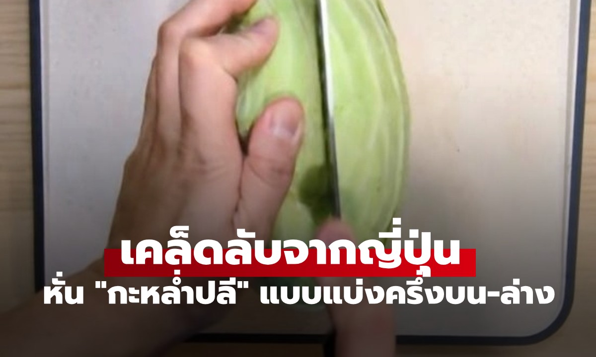 เคล็ดลับจากญี่ปุ่น หั่น "กะหล่ำปลี" แบบแบ่งครึ่งบน-ล่าง ใช้อร่อยคุ้มค่า ยืดอายุได้นานกว่า