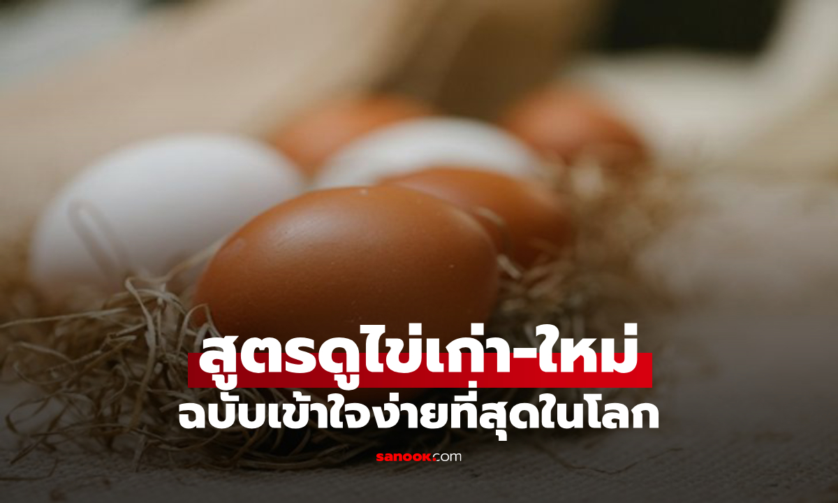 เช็กไข่เก่า-ใหม่ วิธีดูไข่สดแบบง่ายๆ ภายใน 10 วินาที พร้อมเคล็ดลับเก็บไข่ให้สดนาน