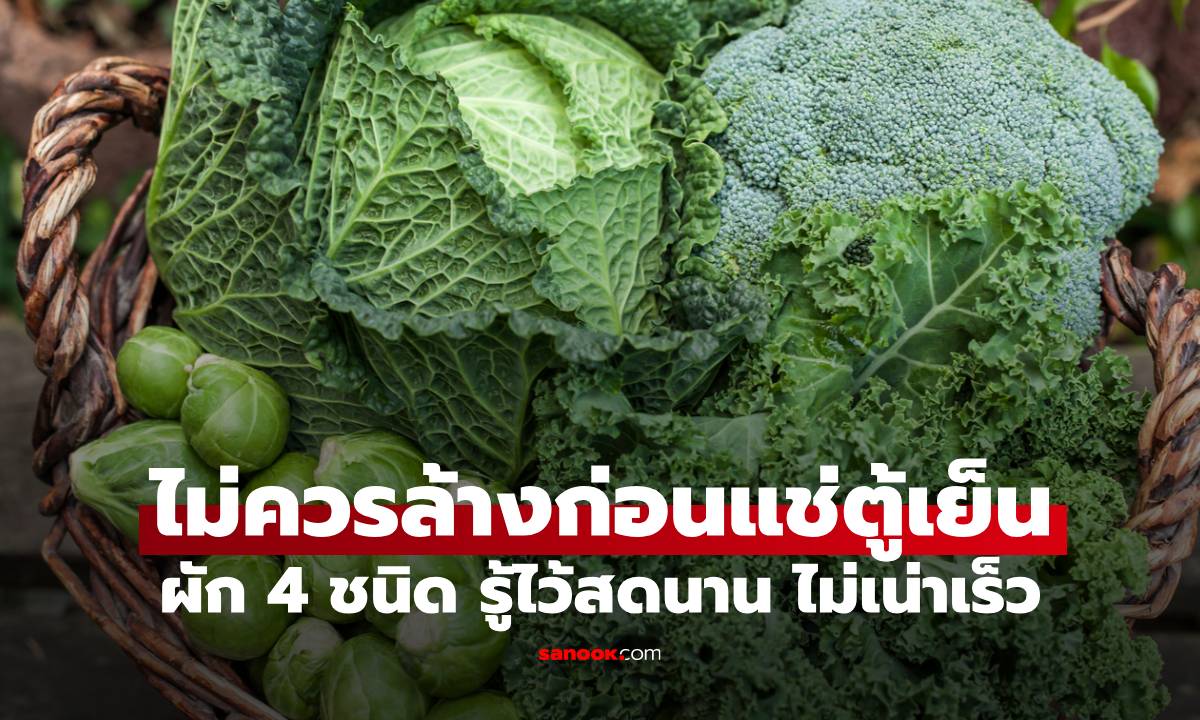 ผักบางชนิด ไม่ควรล้างก่อนแช่ตู้เย็น รู้ไว้ผักสดนาน ไม่เน่าเร็ว