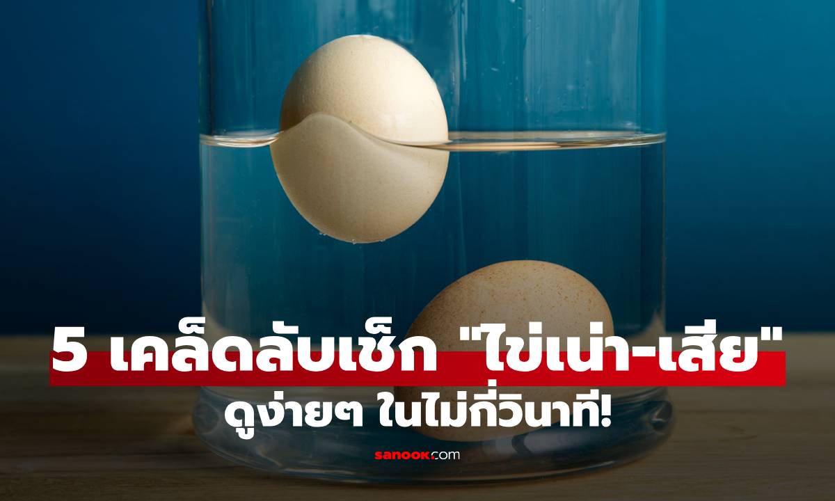 "ไข่เน่า-ไข่เสีย" เช็กยังไง? เปิด 5 เคล็ดลับเช็กความสดไข่ ดูง่ายๆในไม่กี่วินาที!