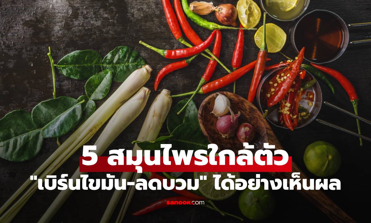 5 สมุนไพรใกล้ตัว ตัวช่วย "เบิร์นไขมัน-ลดบวม" ได้อย่างเห็นผล