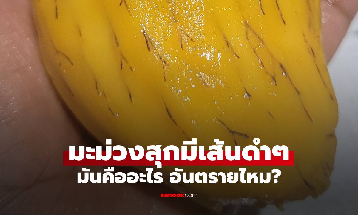 มะม่วงสุกมีเส้นดำๆ มันคืออะไร อันตรายไหม คำตอบที่หลายคนอยากรู้
