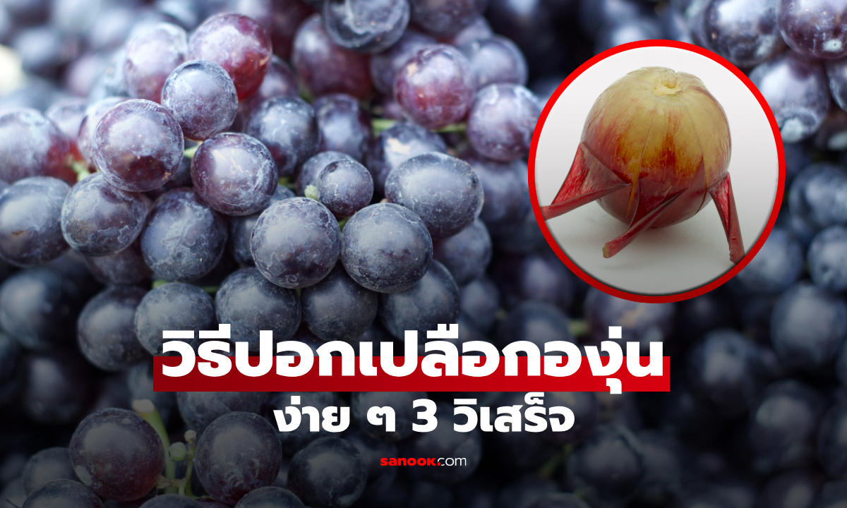 ภาพกูรูญี่ปุ่นบอกต่อ! วิธี "ปอกเปลือกองุ่น" ง่าย ๆ ใช้เวลาแค่ 3 วิ ก็ปอกได้ลื่นไหล