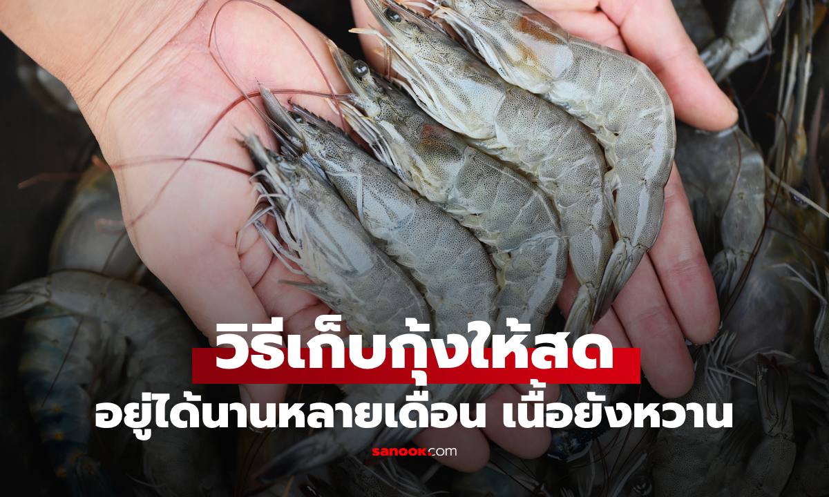 "วิธีเก็บกุ้งสด" อยู่ได้นานหลายเดือน เนื้อยังเด้งหวานเหมือนเพิ่งขึ้นมาจากบ่อ