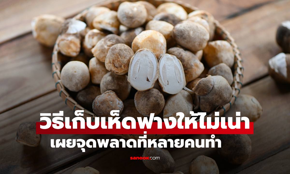 วิธีเก็บเห็ดฟางให้สดนานไม่เน่า เปิดจุดพลาดที่หลายคนทำเป็นประจำ