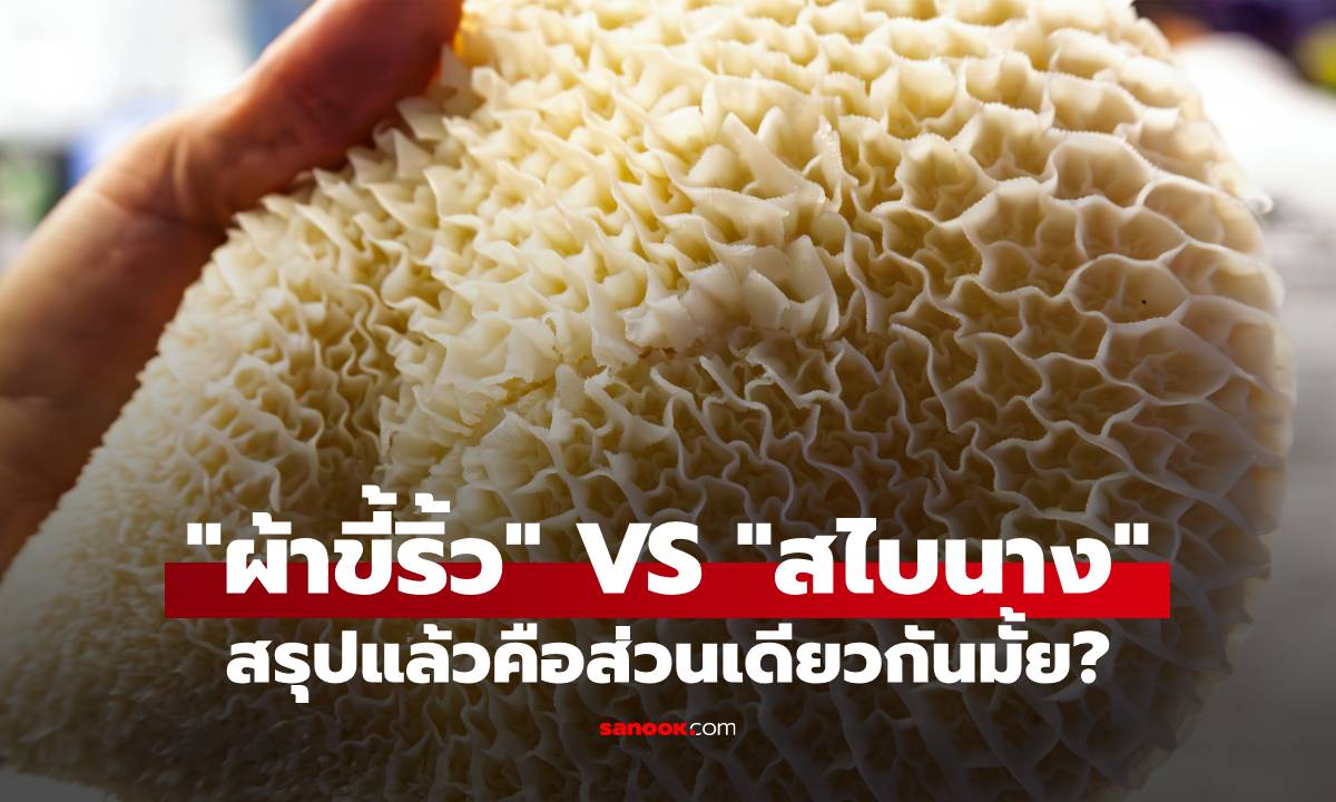 "ผ้าขี้ริ้ว VS สไบนาง" คือส่วนเดียวกันมั้ย? ไขความลับของอร่อยในท้องวัว!