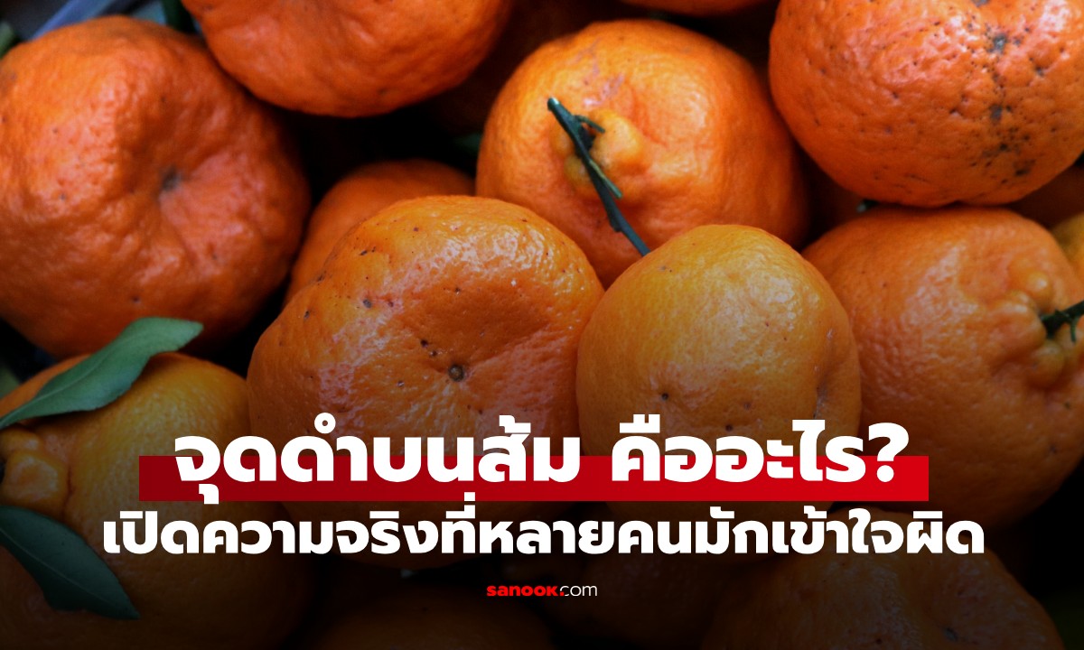 อย่าเพิ่งทิ้ง! ไขความลับ "จุดดำบนเปลือกส้ม" และ 4 ความเข้าใจผิดเรื่องผักเน่า