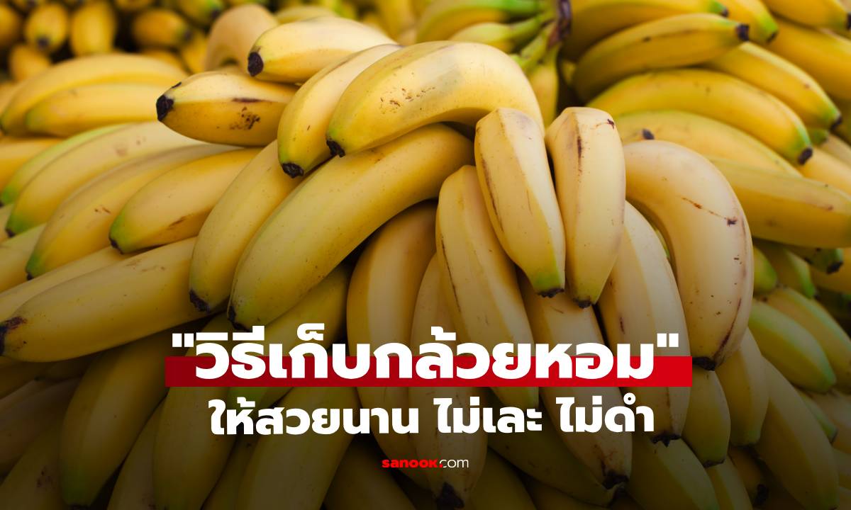 ภาพสุกไม่ทันกิน! ลองทำ 5 วิธีนี้ "วิธีเก็บกล้วยหอม" ให้สวยนาน ไม่เละ ไม่ดำ