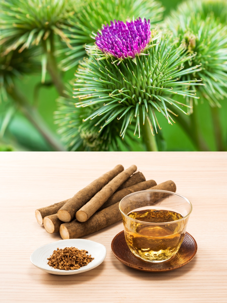 เบอร์ดอก 