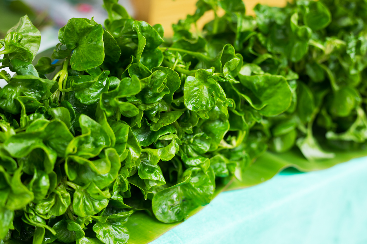 วอเตอร์เครส