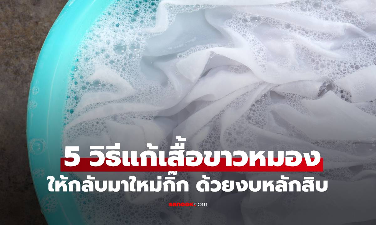 อย่าเพิ่งทิ้ง! 5 วิธีแก้เสื้อขาวหมองให้กลับมาใหม่กิ๊ก ด้วยงบหลักสิบ