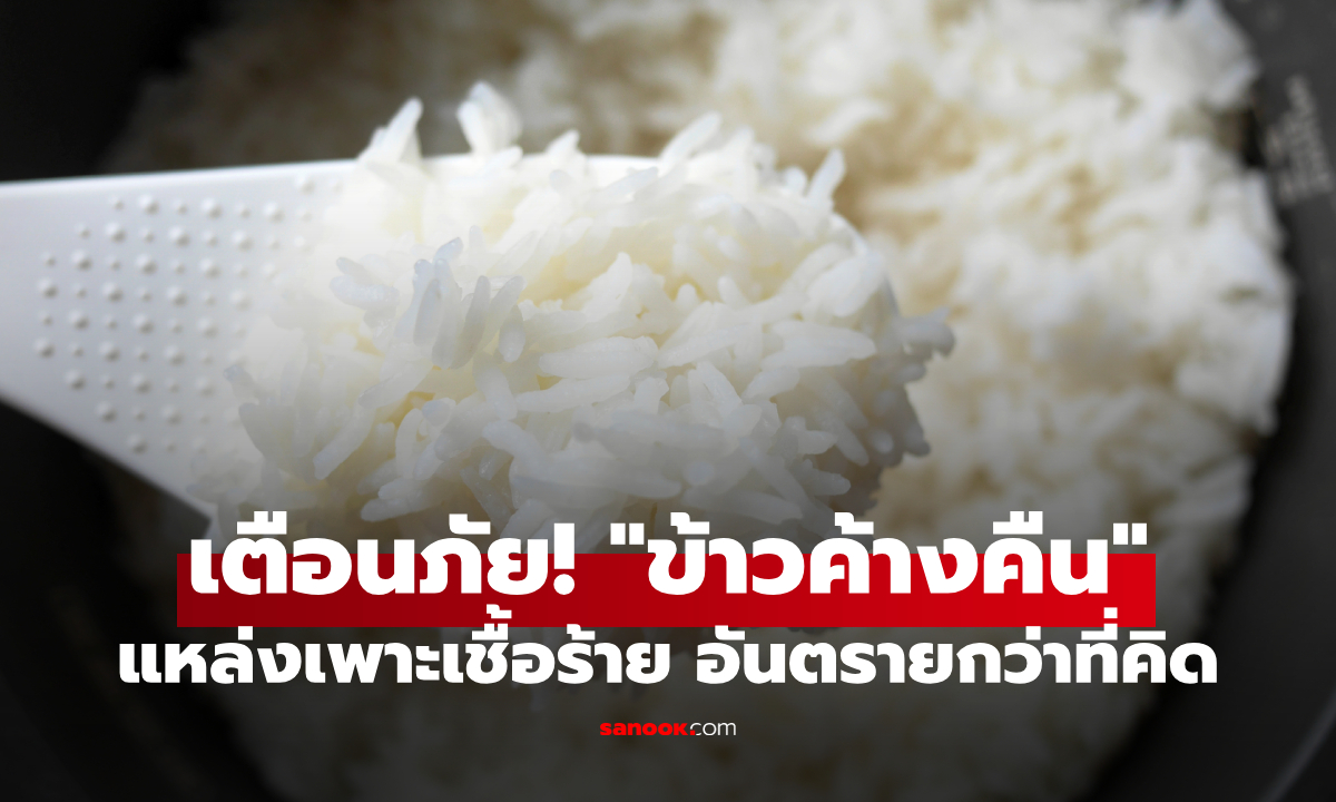 อึ้ง! "ข้าวค้างคืน" อันตรายกว่าที่คิด? เช็กด่วนก่อนกลายเป็นพิษถล่มร่างกาย