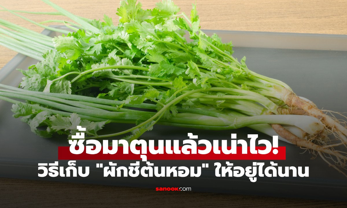 ซื้อมาตุนแล้วเน่าไว! วิธีเก็บผักชีต้นหอมให้อยู่ได้นานเป็นเดือน ไม่เหี่ยว ไม่เหลืองคาตู้เย็น