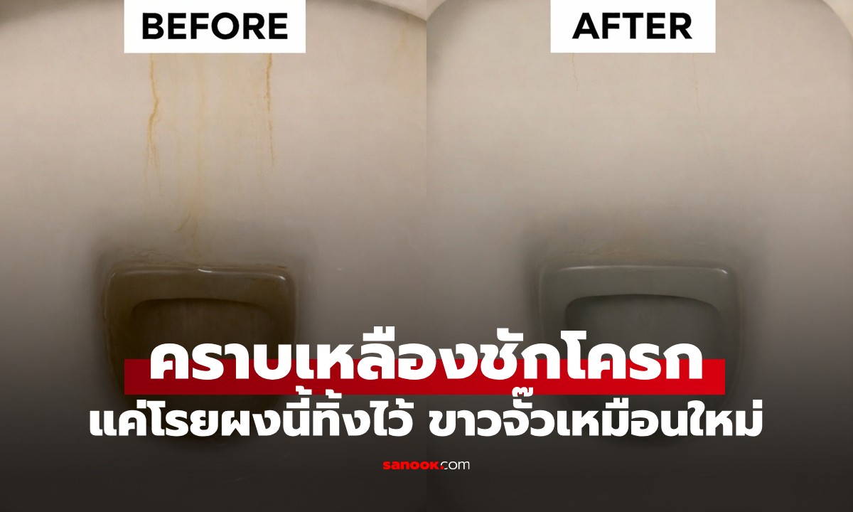 ชักโครกเหลืองอ๋อยแก้ได้! เปิดสูตรลับ "ผงมหัศจรรย์" แค่โรยทิ้งไว้ ขาวกริบใน 1 ชั่วโมง