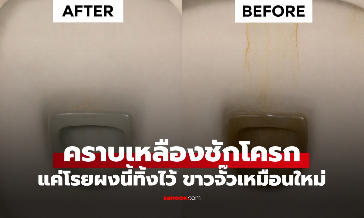 ชักโครกเหลืองอ๋อยแก้ได้! เปิดสูตรลับ "ผงมหัศจรรย์" แค่โรยทิ้งไว้ ขาวกริบใน 1 ชั่วโมง