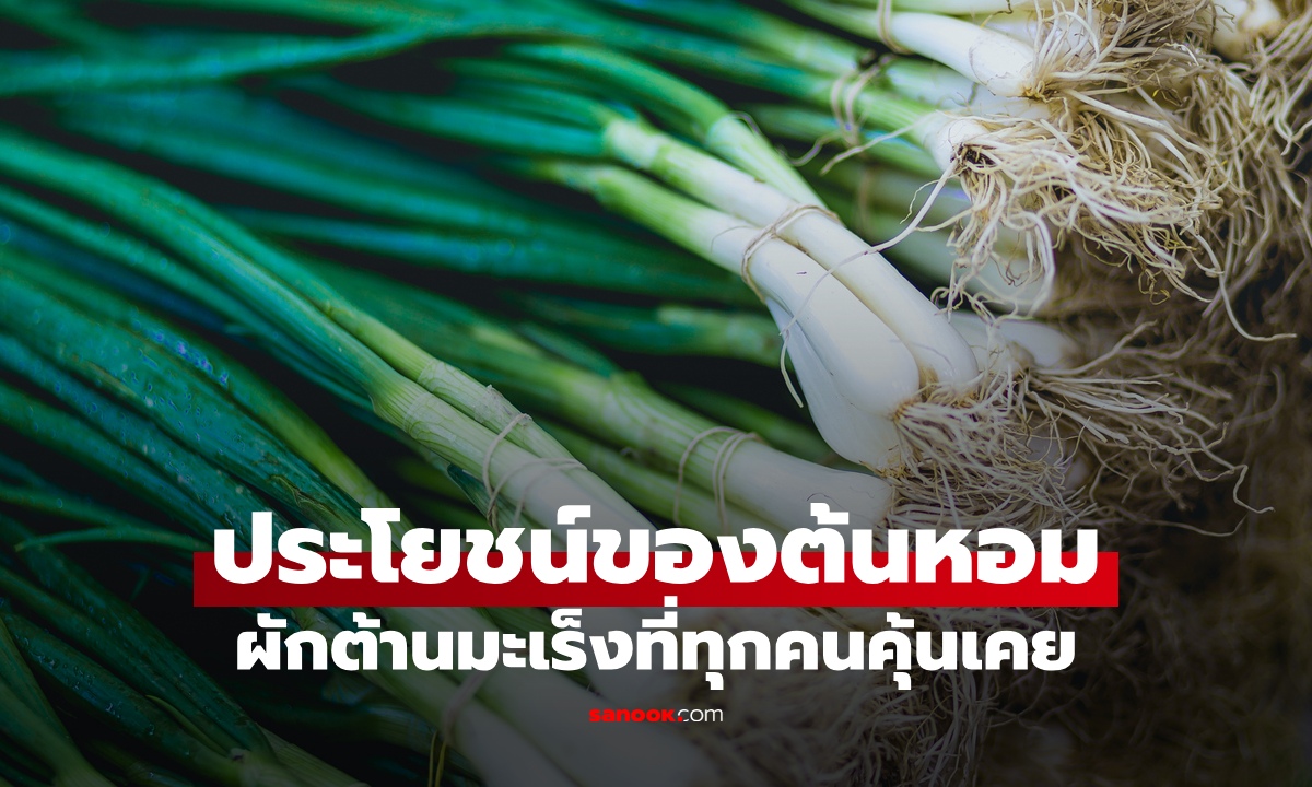 ประโยชน์ของ "ต้นหอม" ผักต้านมะเร็งราคาถูก กินสดหรือปรุงสุกดีกว่ากัน?