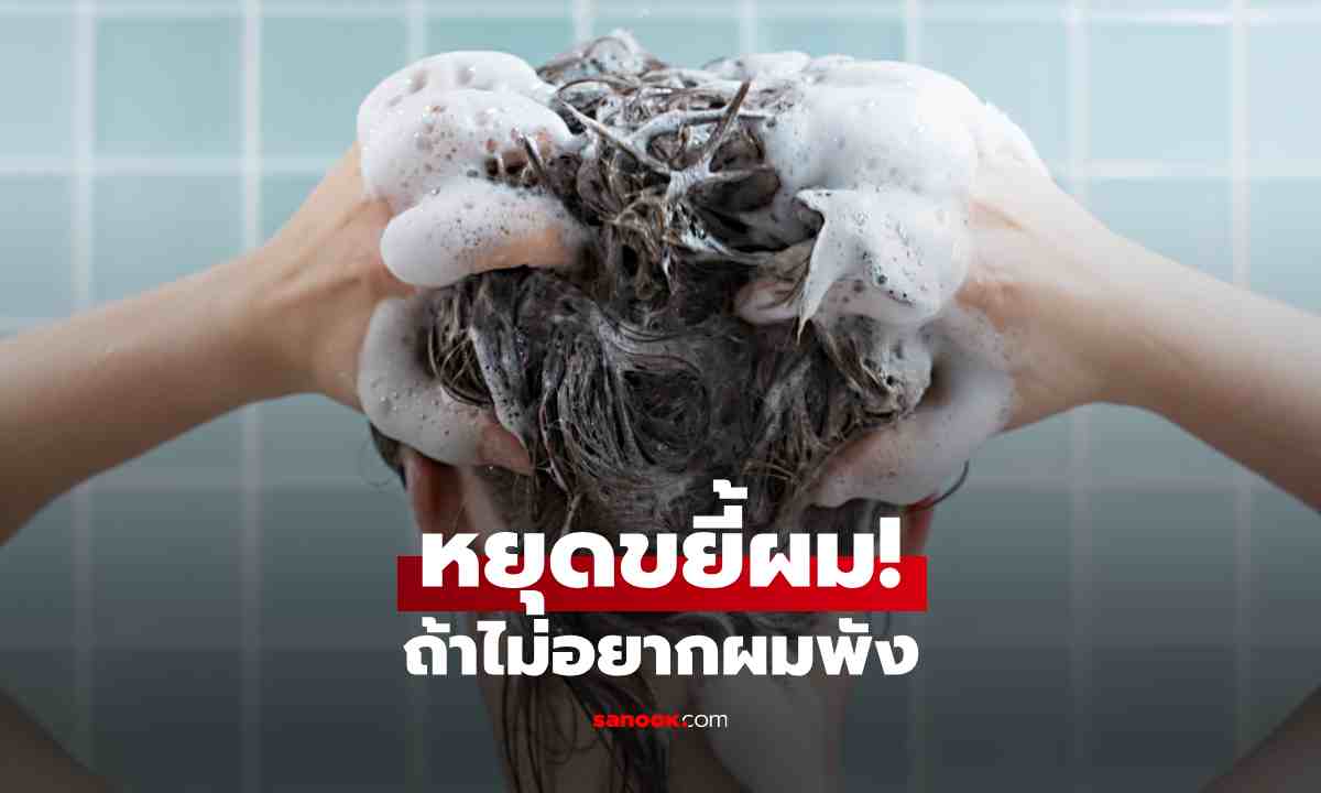 สระผมยังไงให้สะอาดจริง? 6 วิธีสระผมที่ถูกต้อง ผมนุ่ม ลดขาดหลุดร่วง