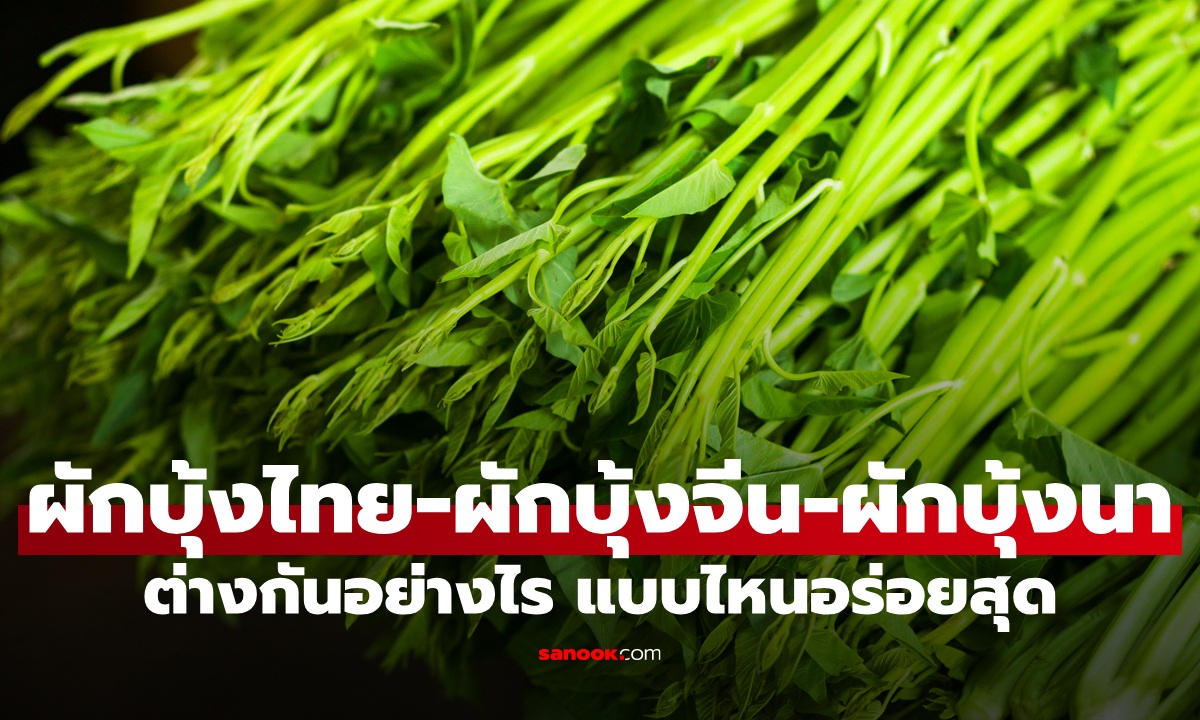 ผักบุ้งไทย - ผักบุ้งจีน - ผักบุ้งนา ต่างกันอย่างไร แบบไหนอร่อยสุด