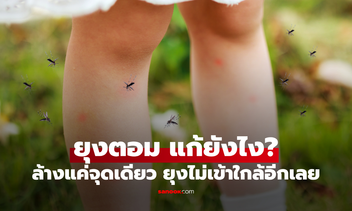 ยุงตอม แก้ยังไง? แค่ล้างจุดนี้ให้สะอาด ยุงก็ไม่กล้าเข้าใกล้อีก!