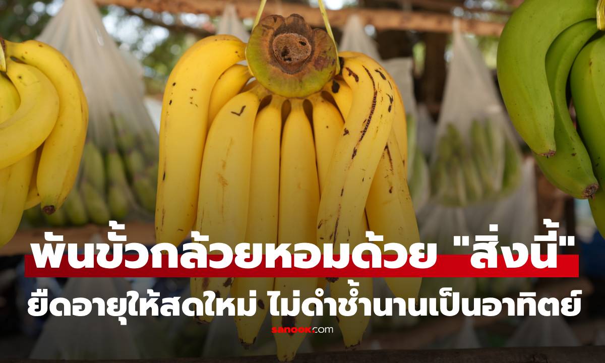 1 นาทีรู้เรื่อง! เคล็ดลับพันขั้วกล้วยหอมด้วย "สิ่งนี้" ยืดอายุให้สดใหม่ ไม่ดำช้ำนานเป็นอาทิตย์