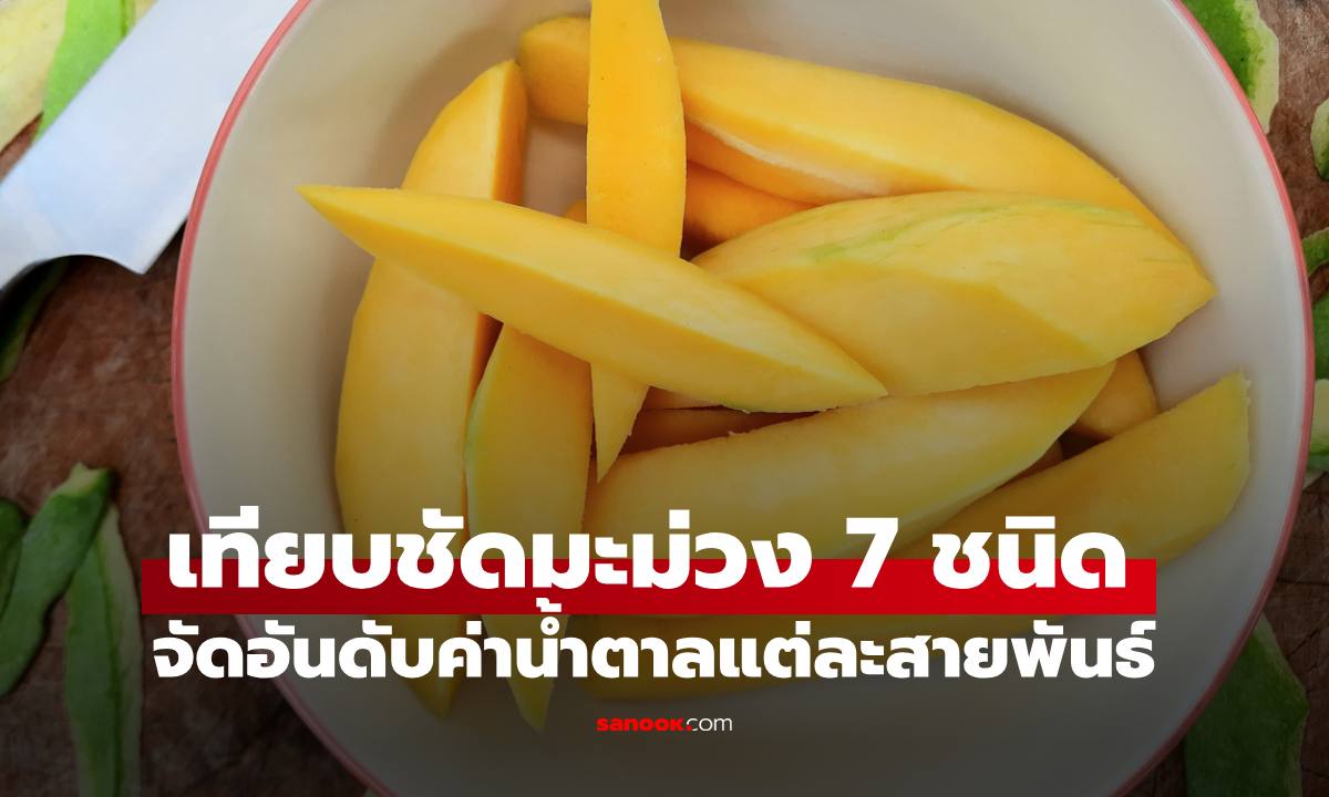 เทียบชัด "มะม่วง 7 ชนิด" จัดอันดับค่าน้ำตาลแต่ละสายพันธ์ุ เช็กก่อนกินเพื่อสุขภาพ