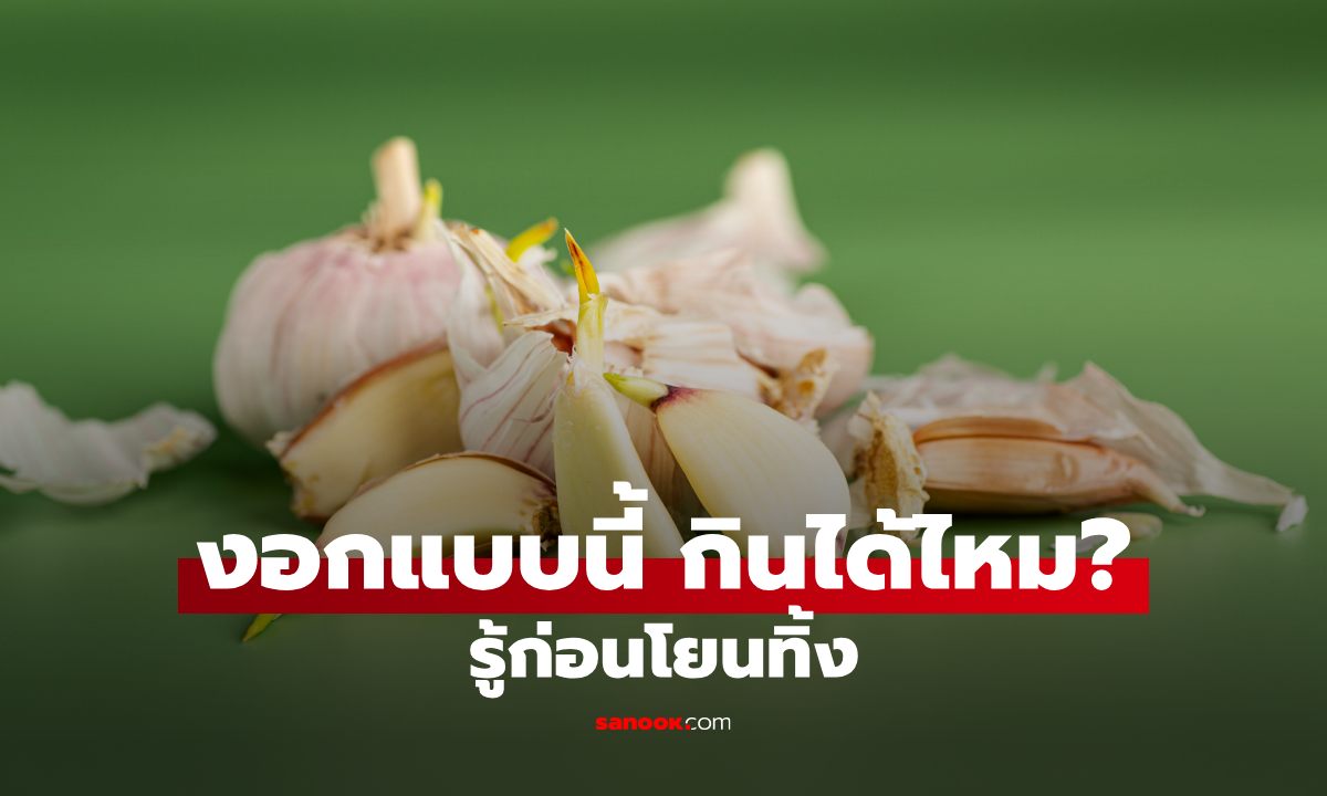 กระเทียมงอก กินได้ไหม? หลายคนรีบทิ้ง ทั้งที่อาจไม่ได้อันตรายอย่างที่คิด