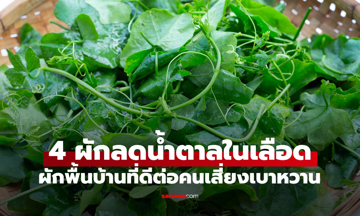 4 ผักพื้นบ้านช่วย "ลดน้ำตาลในเลือด" เก็บง่ายริมรั้ว ดีต่อคนเสี่ยงเบาหวาน งานวิจัยรองรับ