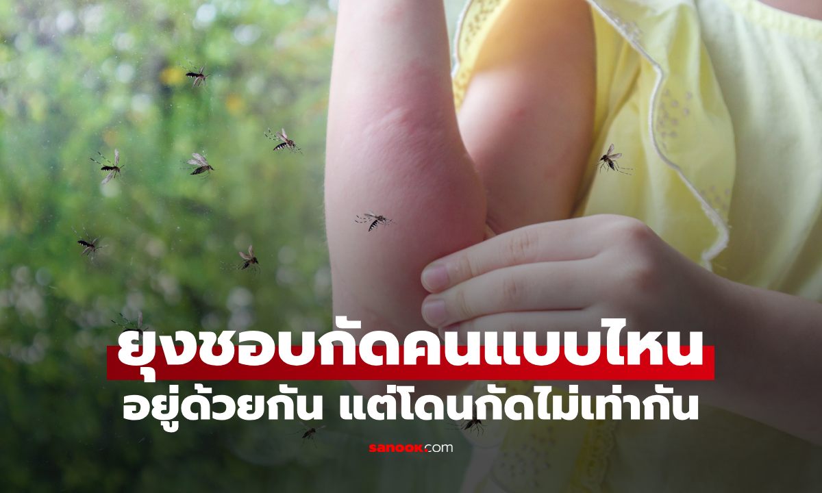 ยุงชอบกัดคนแบบไหน? ทำไมบางคนโดนหนักกว่าคนอื่น ทั้งที่อยู่ด้วยกัน