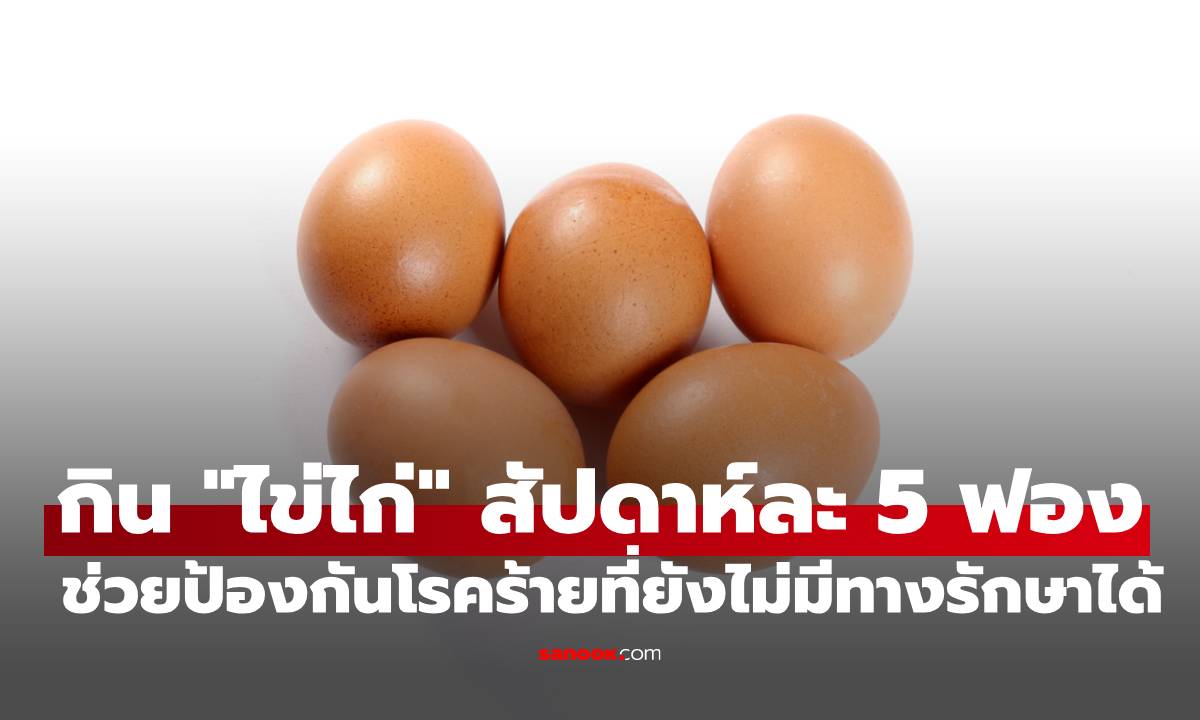 ผลวิจัยเผยแค่กิน "ไข่ไก่" สัปดาห์ละ 5 ฟอง ช่วยป้องกันโรคร้ายที่ยังไม่มีทางรักษาได้