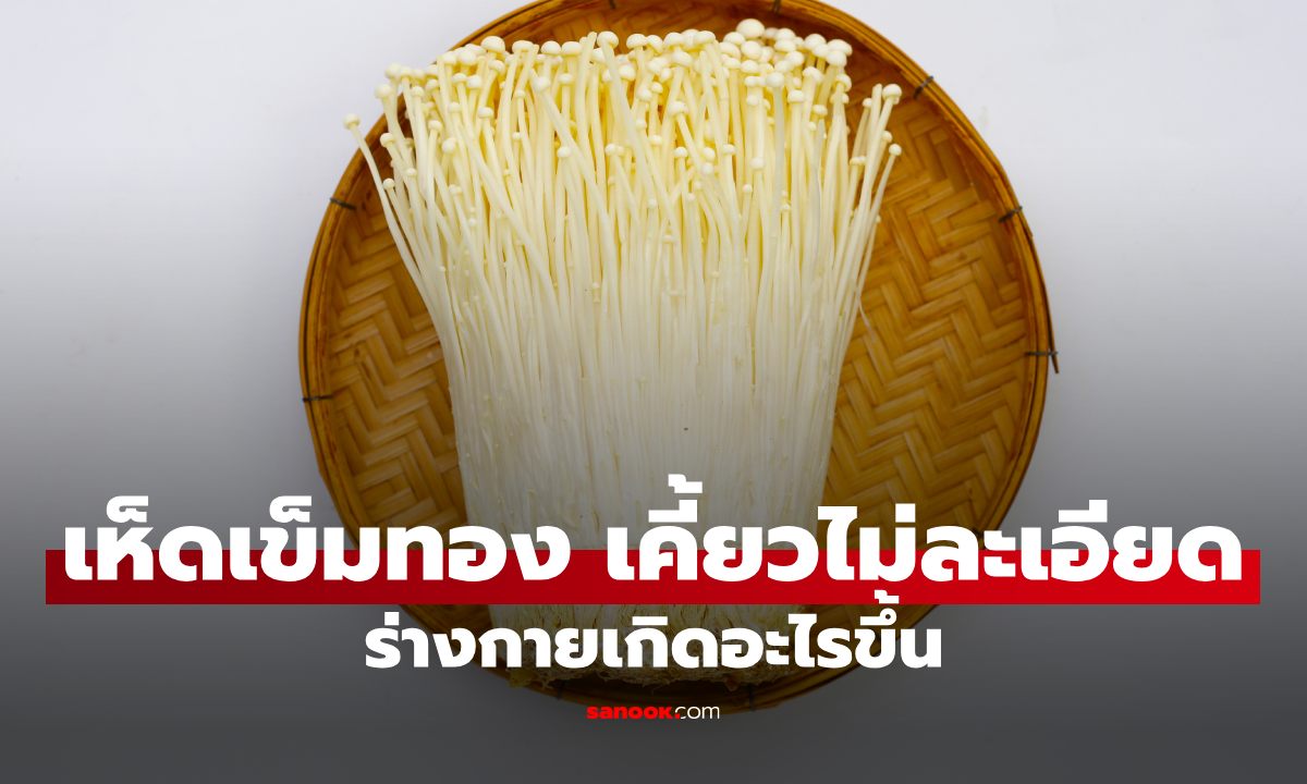 เห็ดเข็มทองเคี้ยวไม่ขาด จริงไหม? ร่างกายย่อยได้หรือเปล่า หลายคนสงสัยมานาน