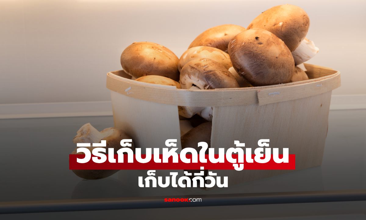 เห็ดในตู้เย็น เก็บได้กี่วัน? แบบไหนควรทิ้งทันที หลายคนยังเก็บผิด
