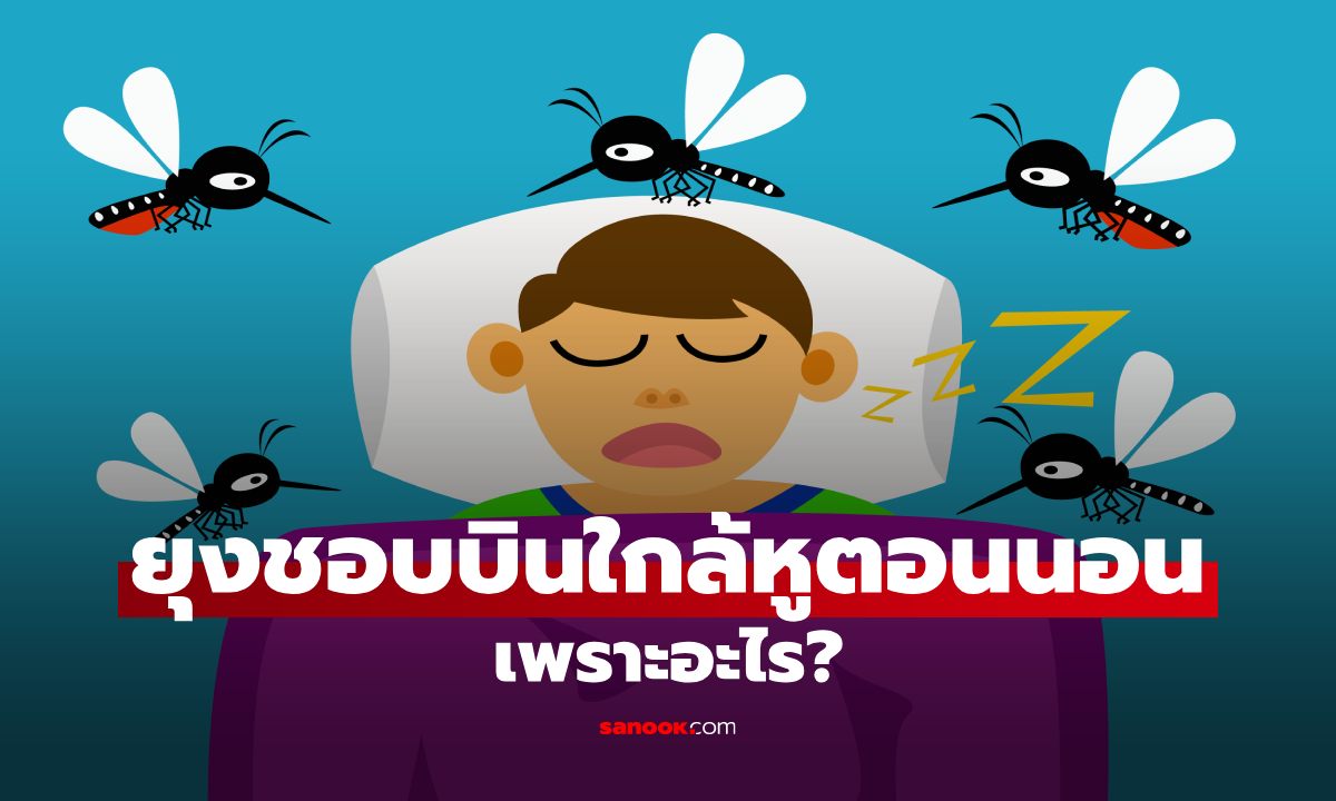 ทำไมยุงชอบบินใกล้หูตอนนอน? เสียงหึ่งๆ ที่หลายคนรำคาญ