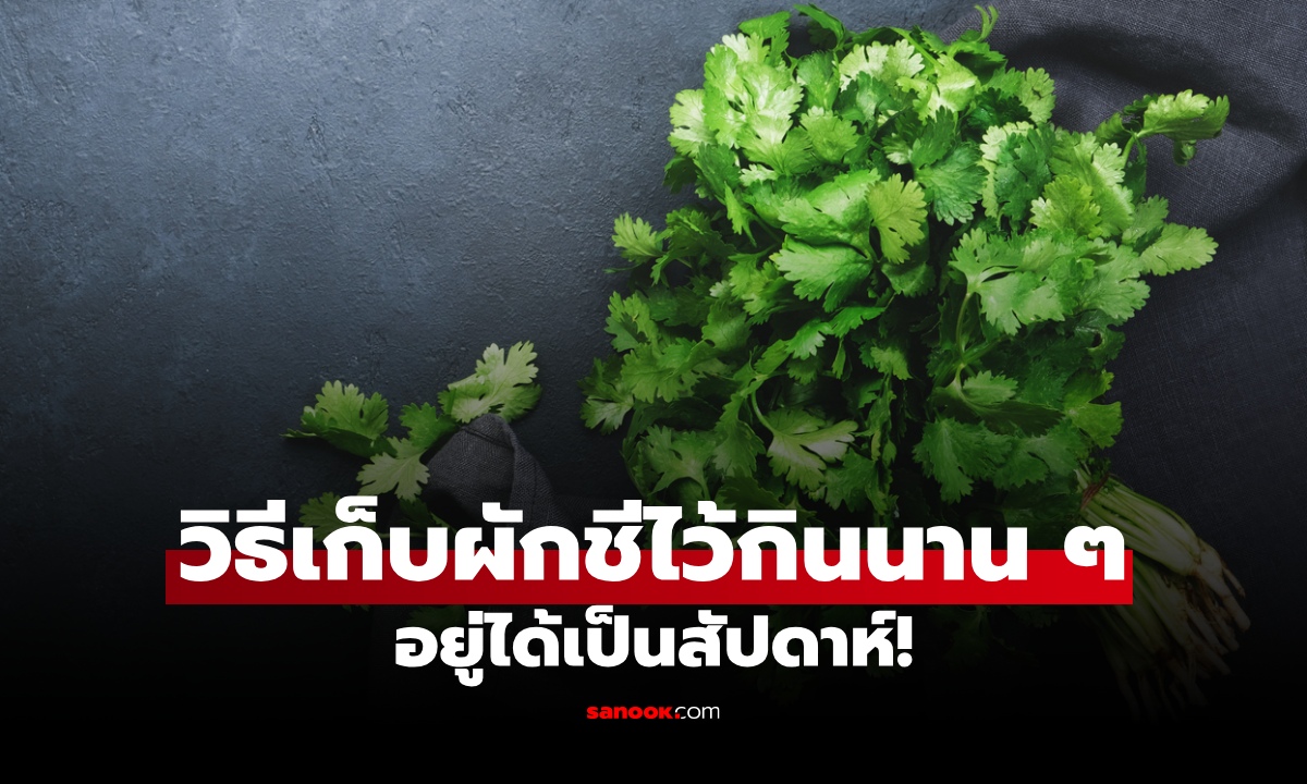 วิธีเก็บผักชีไว้กินนานๆ อยู่ได้เป็นสัปดาห์ เหมือนเพิ่งซื้อ ไม่เหี่ยว ไม่เน่า