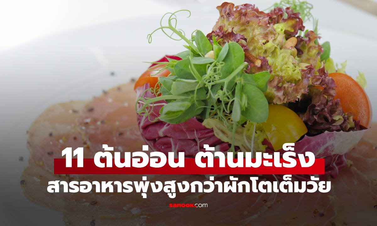 "11 ต้นอ่อน" ผักซูเปอร์ฟู้ดต้านมะเร็ง สารอาหารพุ่งสูงกว่าผักโตเต็มวัยหลายเท่า ปลูกง่ายใน 10 วัน