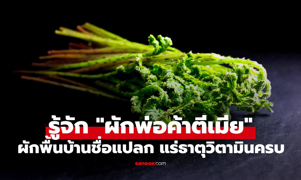 รู้จัก "ผักพ่อค้าตีเมีย" ผักพื้นบ้านชื่อแปลก แต่มีแร่ธาตุและวิตามินครบมาก