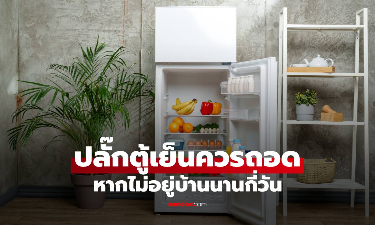 ปลั๊กตู้เย็นควรถอดออก หากไม่อยู่บ้านนานกี่วัน หลายคนอาจละเลยไม่ได้ใส่ใจเรื่องนี้