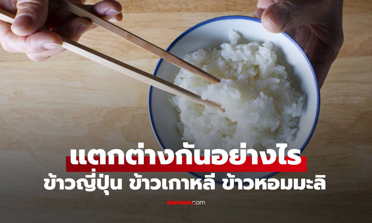 "ข้าวญี่ปุ่น-ข้าวเกาหลี-ข้าวหอมมะลิไทย" แตกต่างกันอย่างไร รวมวิธีหุงให้เม็ดสวยกินอร่อย