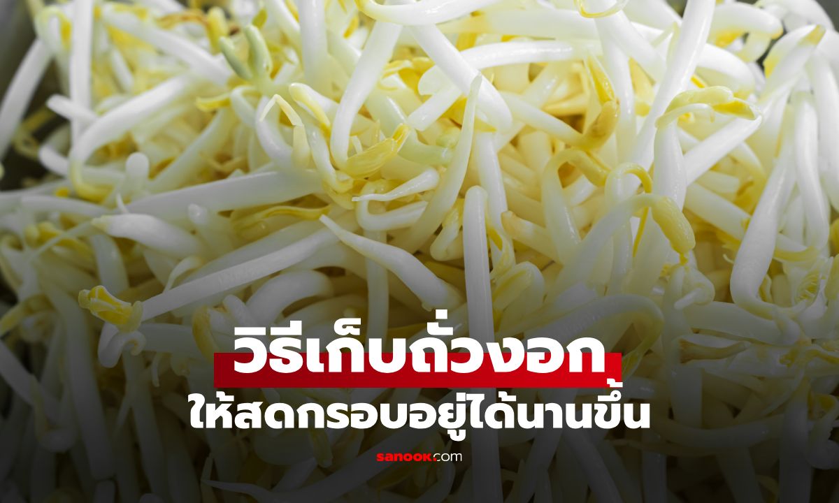 วิธีเก็บถั่วงอกให้สดอยู่ได้นานขึ้น ไม่ช้ำดำค้างตู้เย็น ด้วยทริกง่ายๆ จากญี่ปุ่น