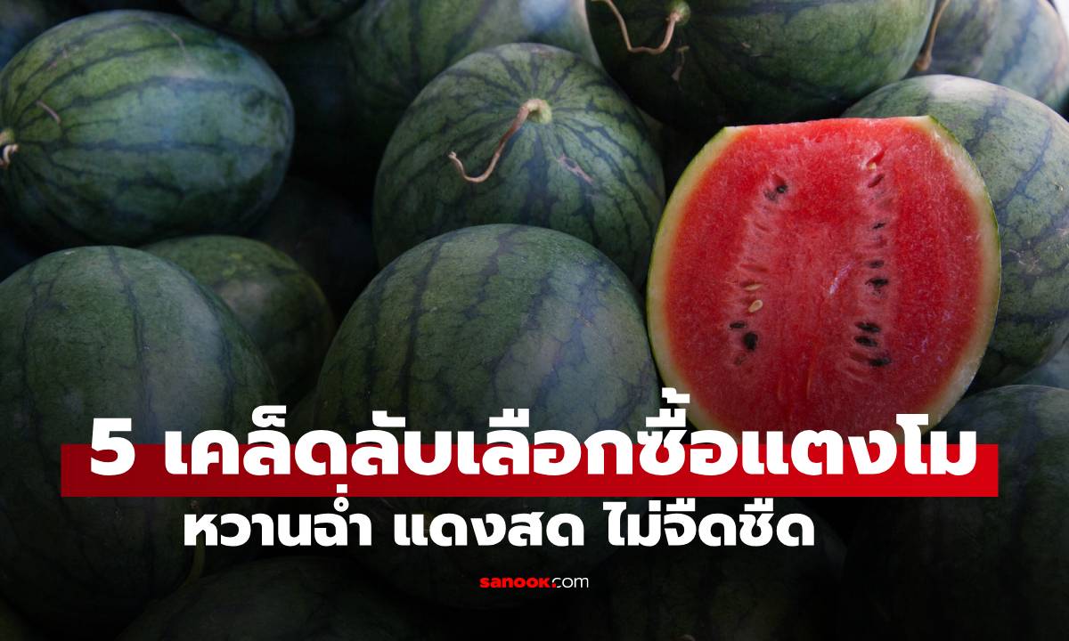 5 เคล็ดลับเลือกซื้อแตงโมจากพ่อค้ามือโปร หวานฉ่ำ แดงสด ไม่จืดชืด